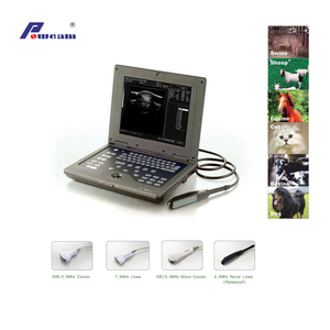 Laptop Veterinary Ultrasound Scanner (WHYB2018P)