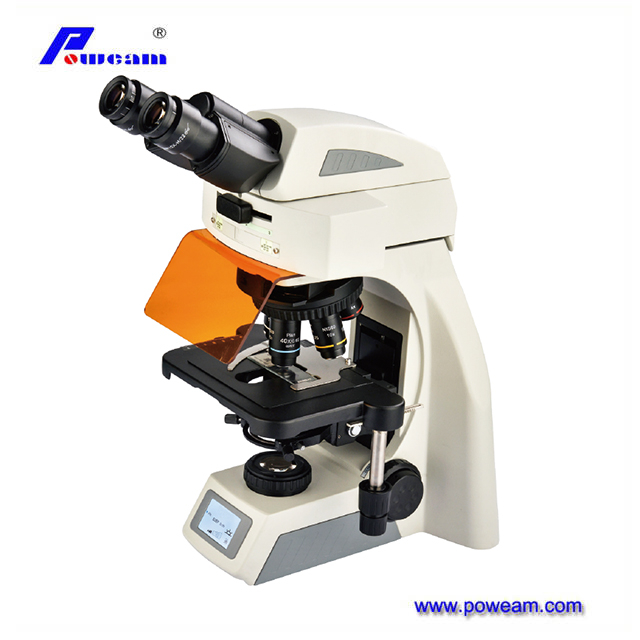 Colorful Compound Microscope Compound Light Microscopes from China manufacturer - Poweam Medical