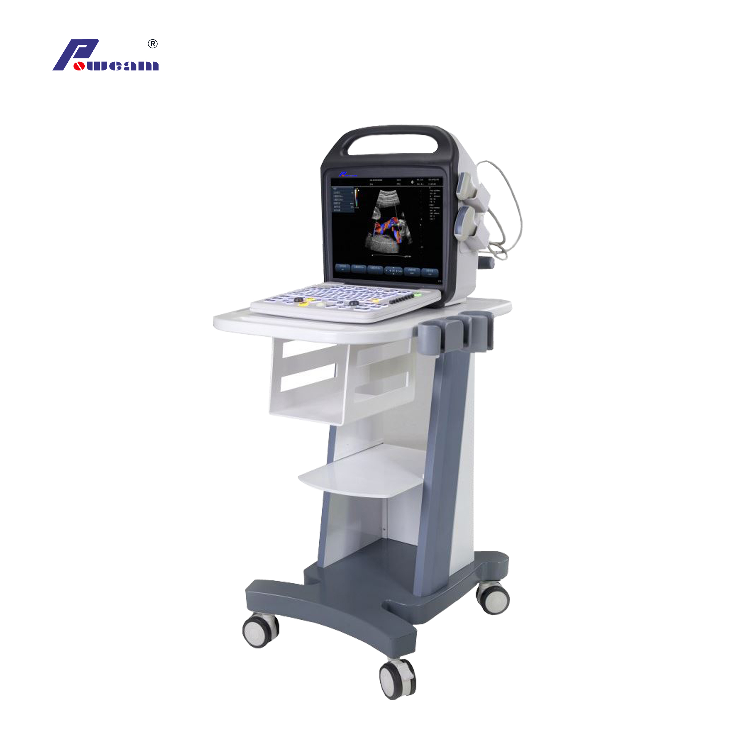 Ce Approved Hospital 4D Portable Color Doppler Ultrasound (C10)