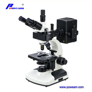 Professional Fluorescent Biological Binocular Microscope