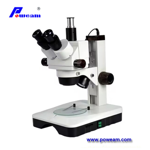 Digital Microscope