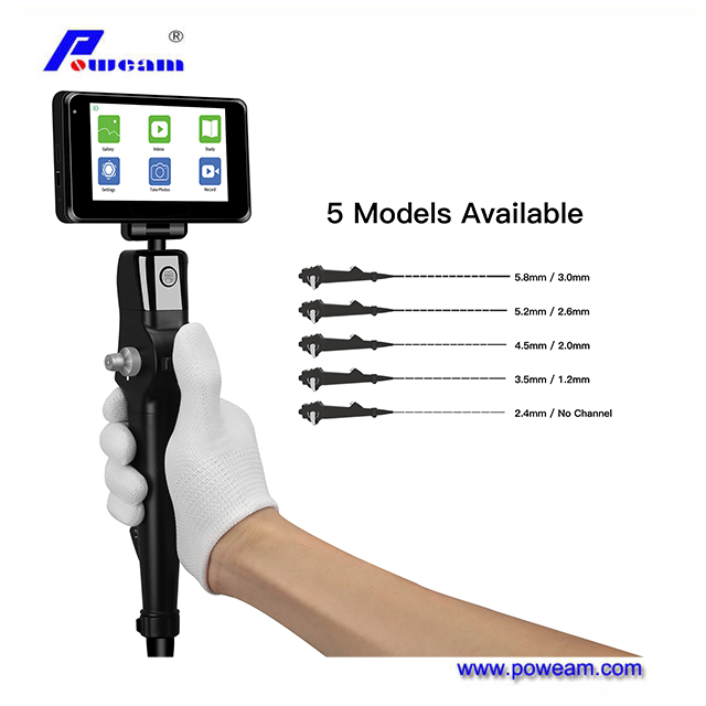 Handheld Flexible Video Laryngoscope