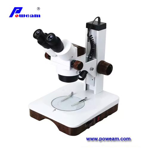 Digital Microscope