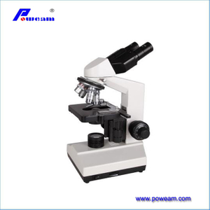 Professional Fluorescent Biological Microscope 
